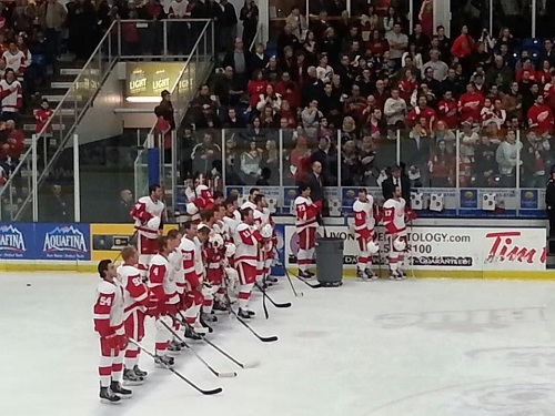 Red Wings WhiteTeam
