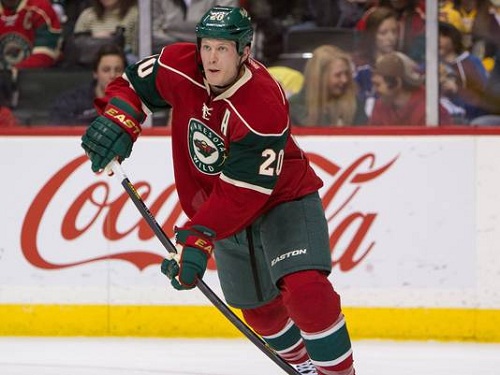 Minnesota Wild Wild Fall 3-1 to Predators in First Loss of Season
